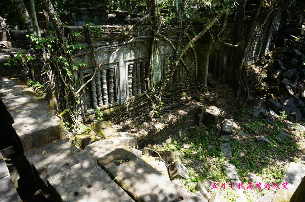 _dsc9976_.jpg