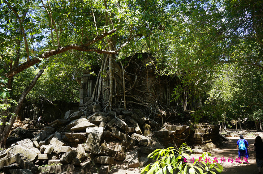 _dsc9993_.jpg