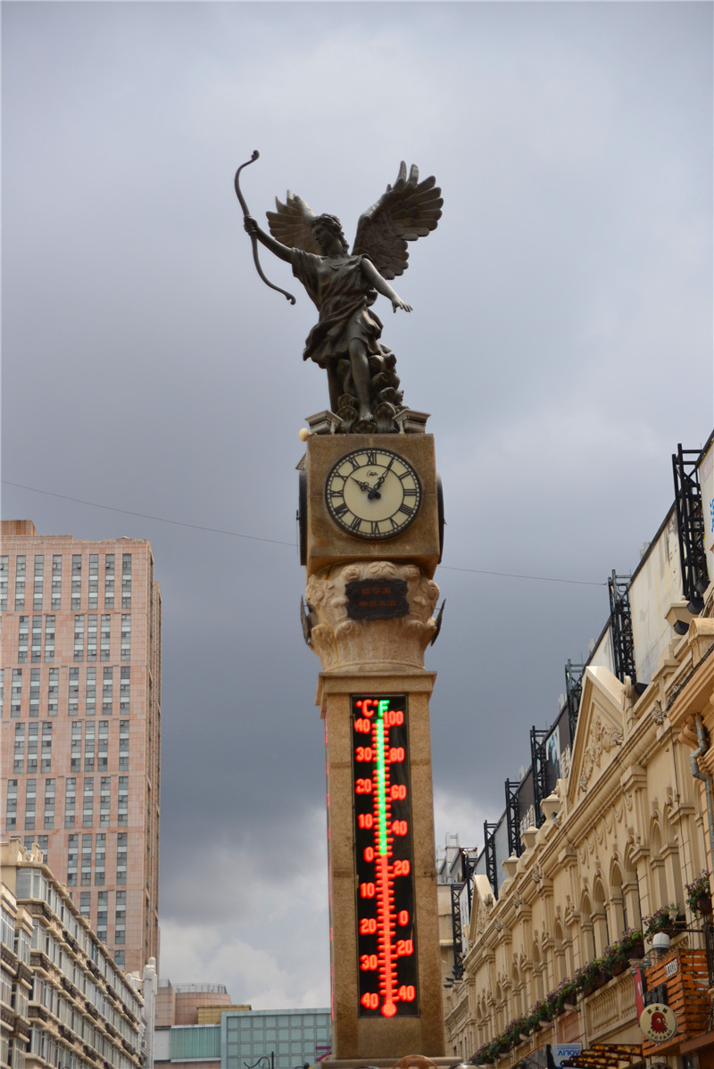 dsc_2370.jpg