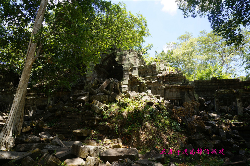 _dsc0003_.jpg