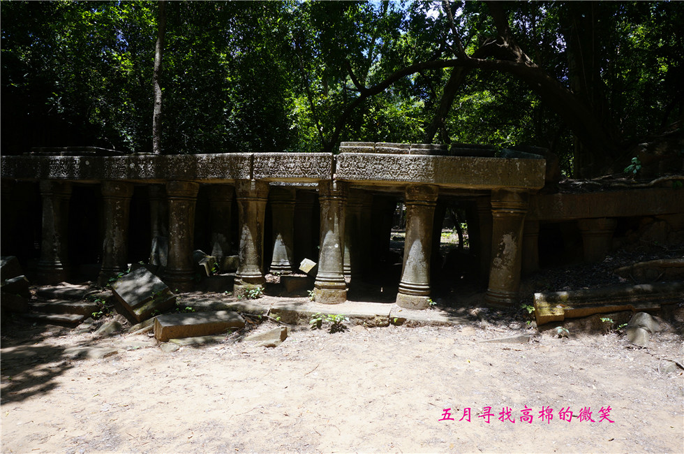 _dsc0016_.jpg