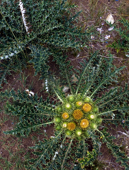 p1240553.jpg