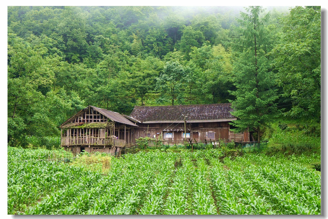 烟雨栗子坪a01.jpg