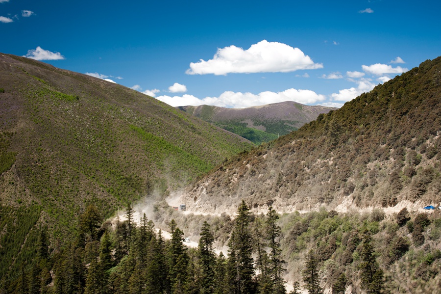 _dsc3111.jpg