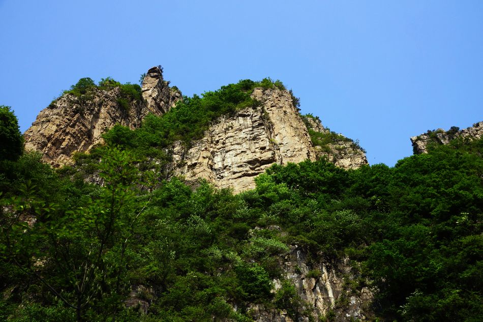 neo_img_dsc00728.jpg