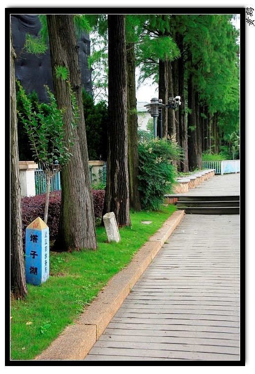 Ӻ41.jpg