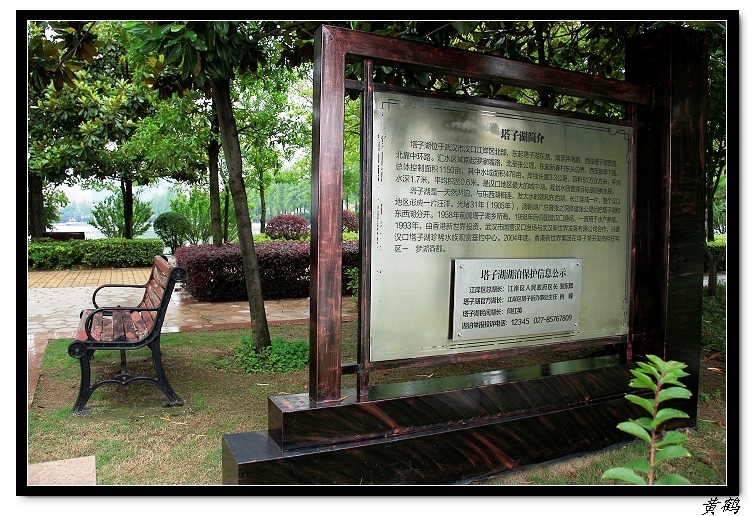 Ӻ52.jpg