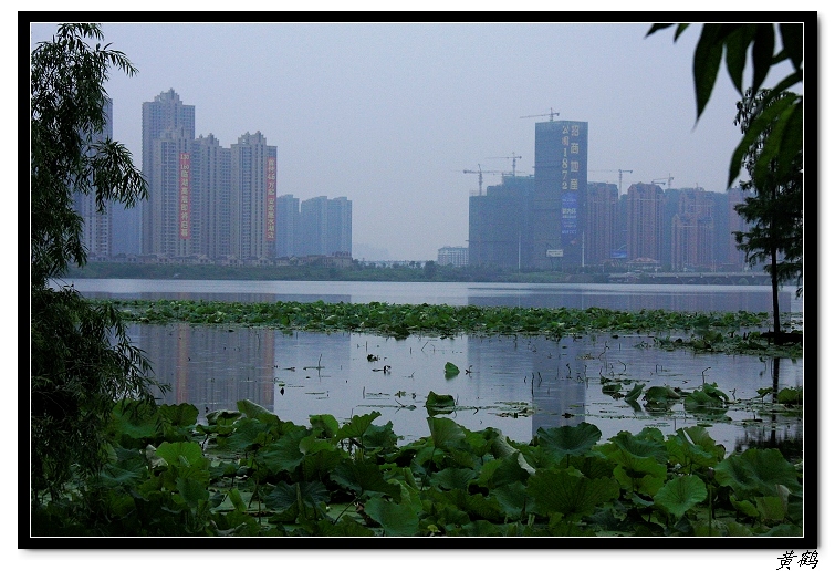 īˮ030.jpg