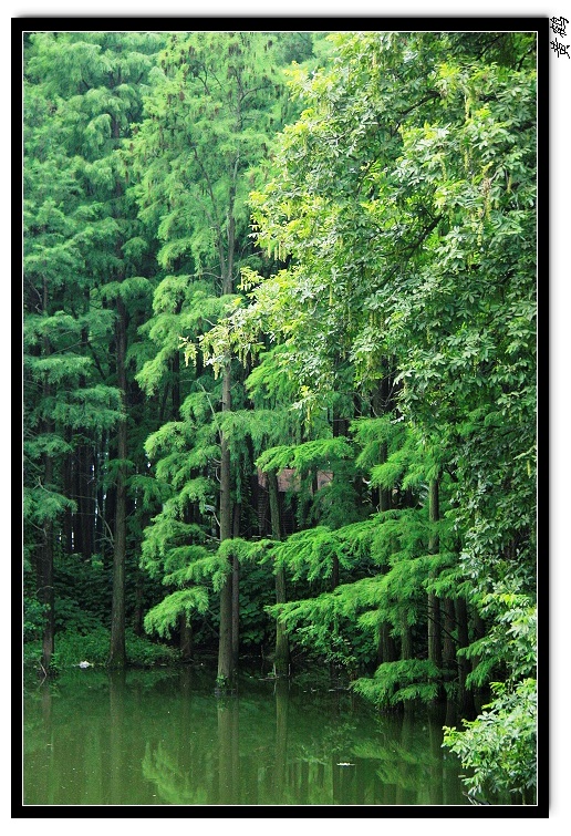 īˮ026.jpg