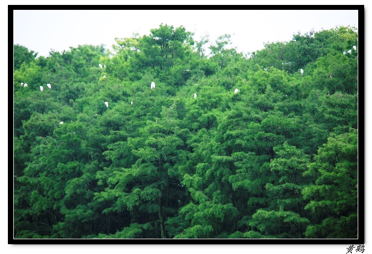 īˮ036.jpg