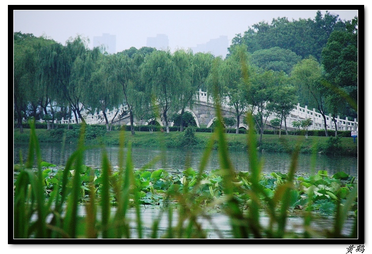 īˮ035.jpg
