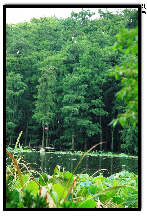 īˮ037.jpg