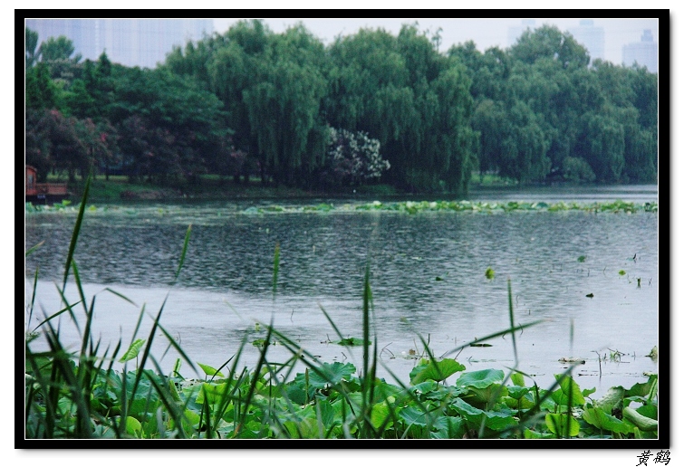 īˮ042.jpg