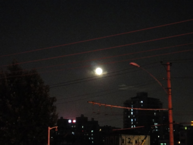 dsc06502.jpg