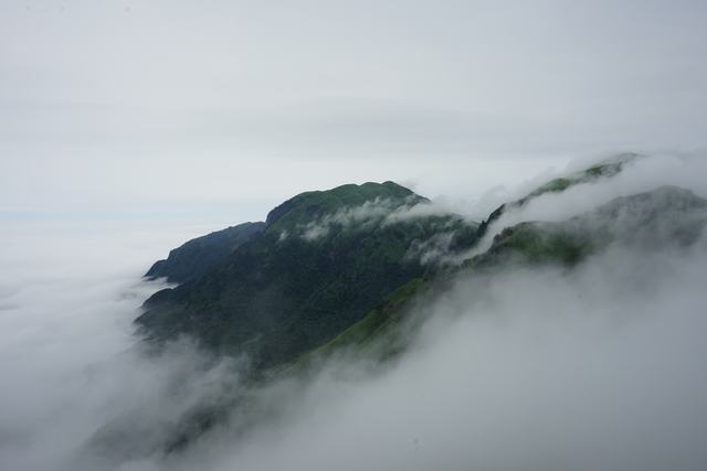 dsc00234.jpg