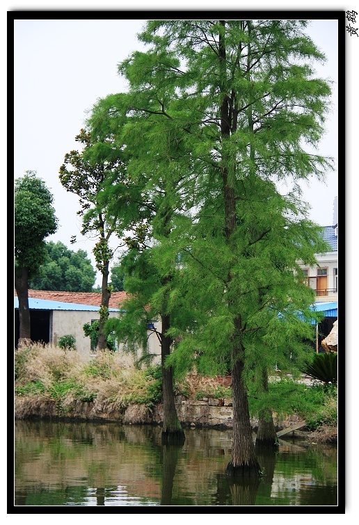 īˮ080.jpg