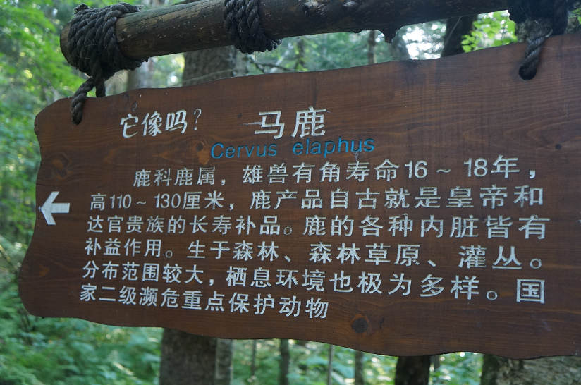 dsc07479.jpg