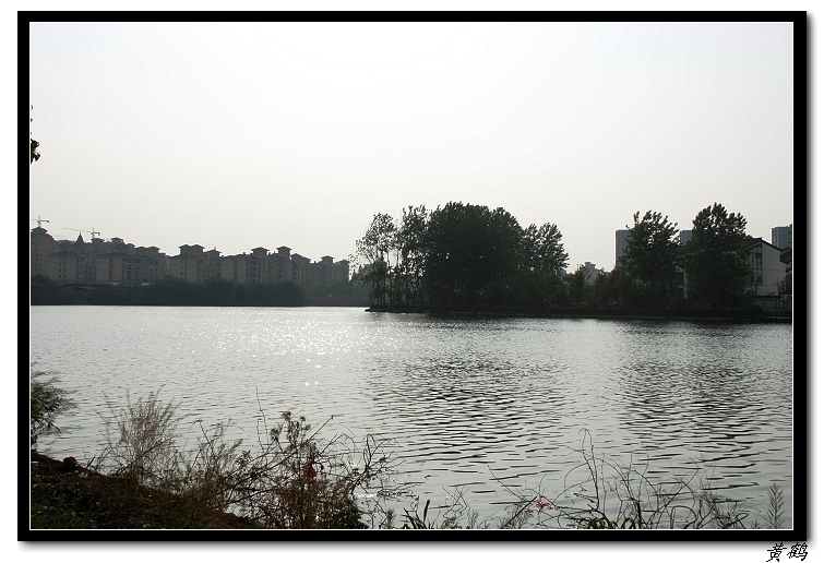 īˮ2011ӡ14.jpg