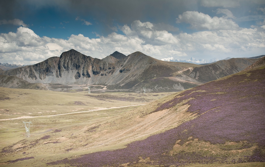 _dsc4371.jpg