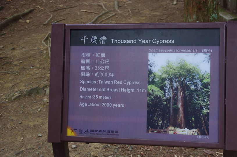 台湾行.jpg