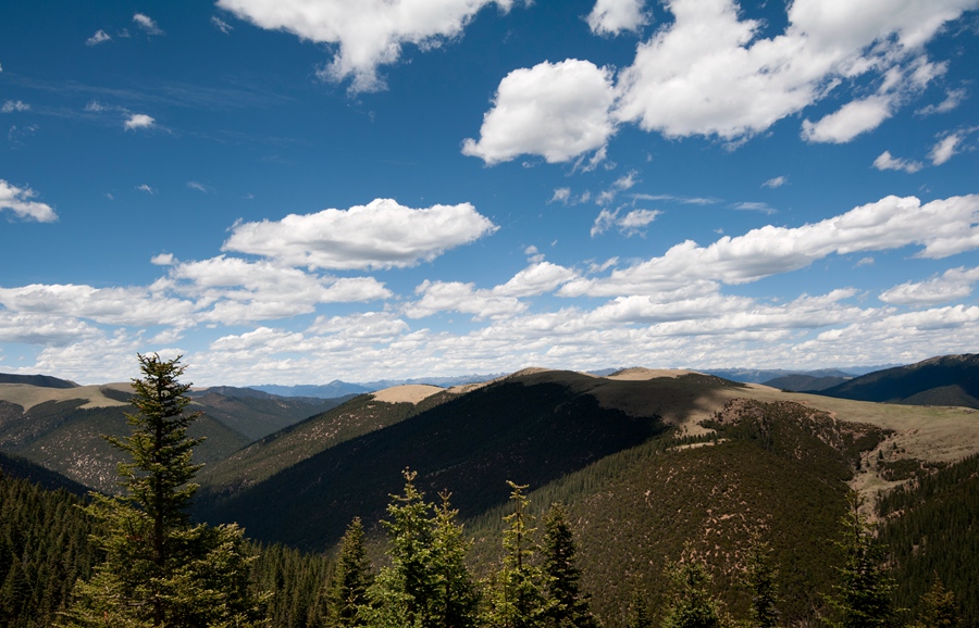 _dsc3204.jpg