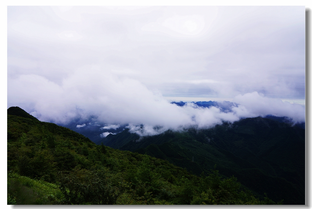独岭观海21.jpg