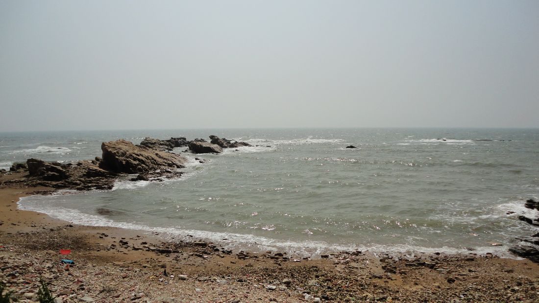 neo_img_dsc00879.jpg