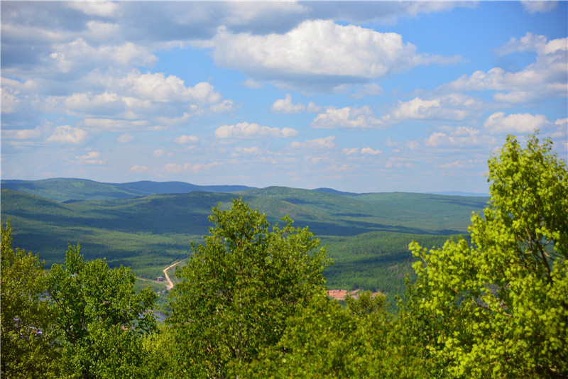 dsc_3190.jpg