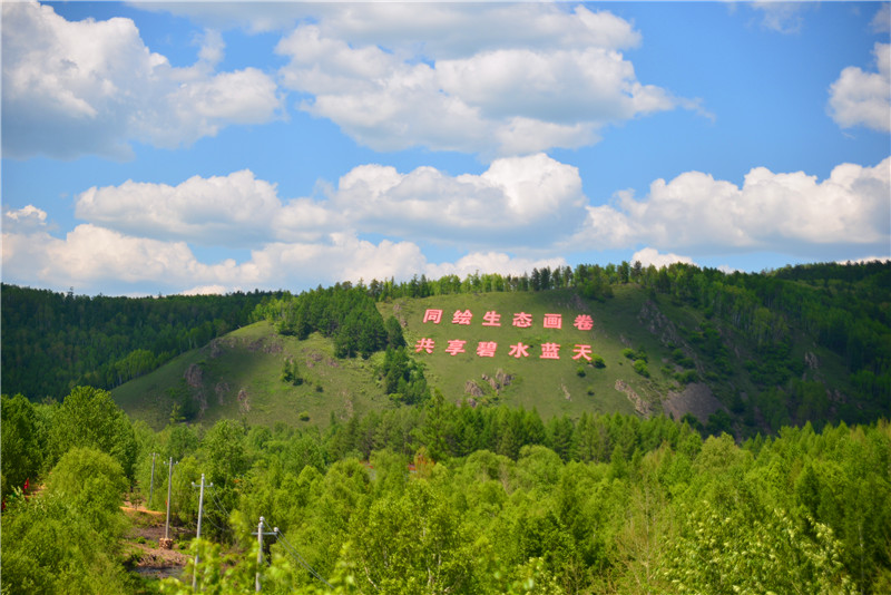 dsc_3218.jpg