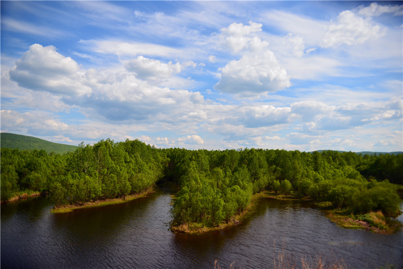 dsc_3233.jpg