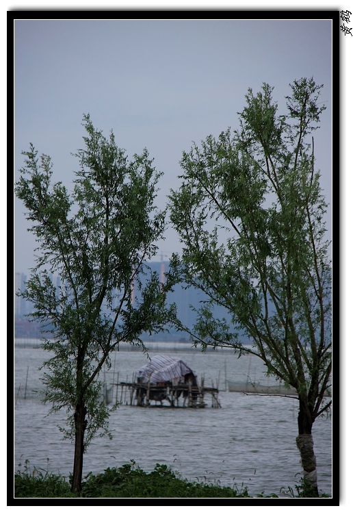 ѷ05.jpg