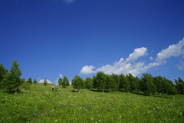 dsc00622.jpg