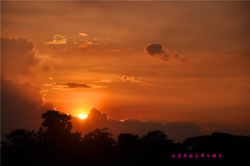 dsc_0308_.jpg