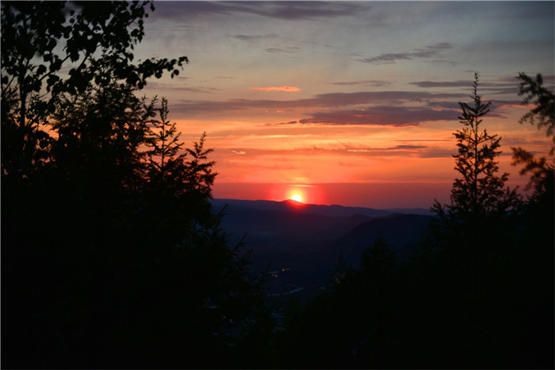 dsc_3379.jpg