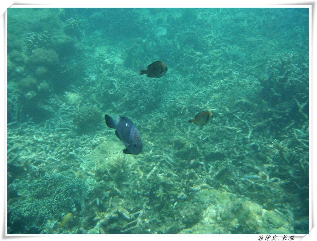 dscf2125_.jpg