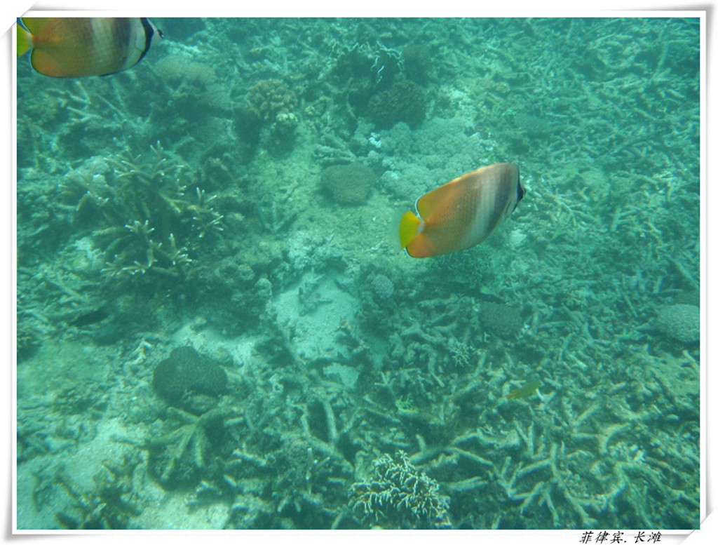 dscf2129__.jpg