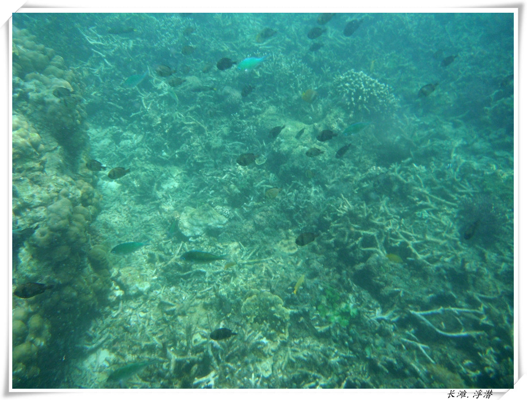 dscf2158_.jpg