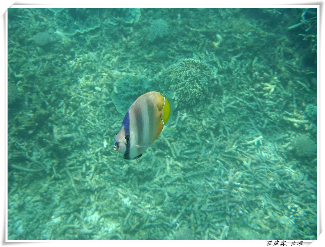 dscf2132_.jpg