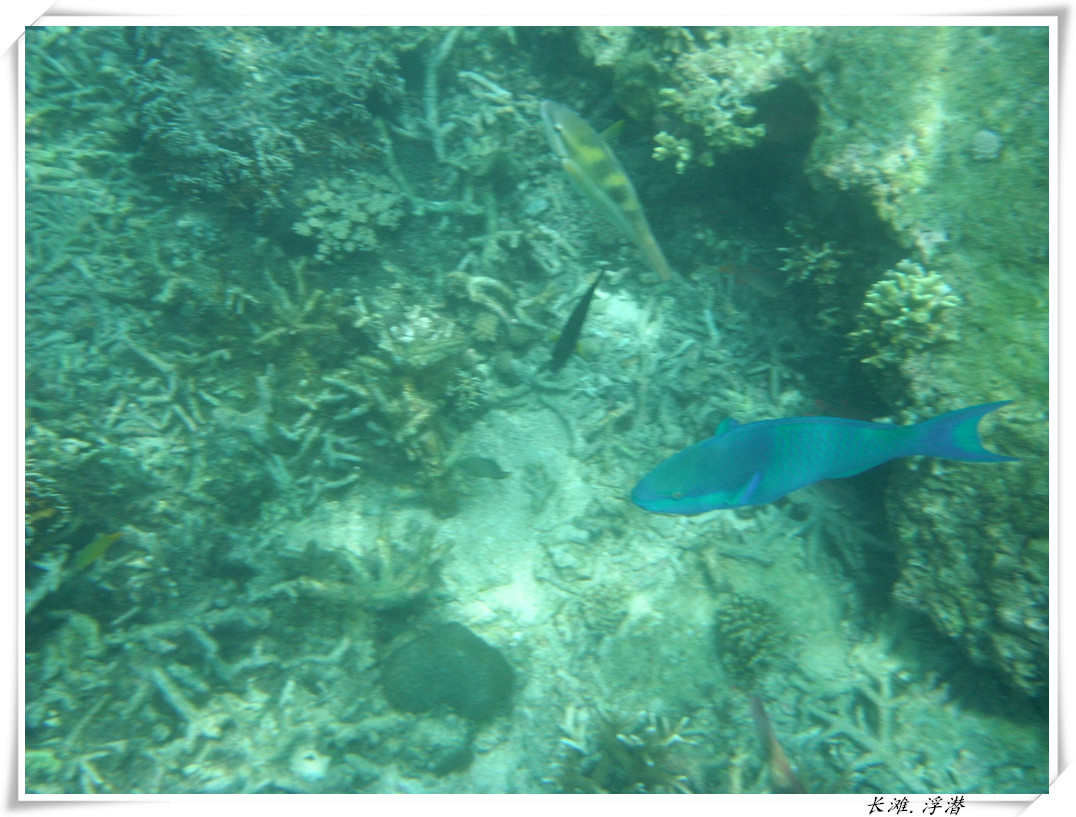 dscf2135_.jpg