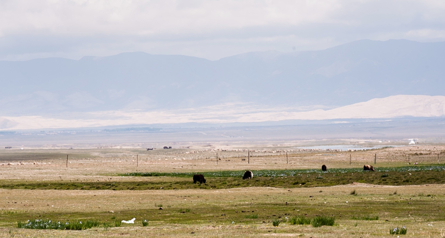 _dsc5232.jpg