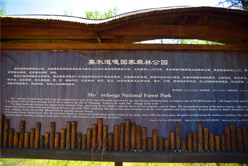 dsc_3399.jpg