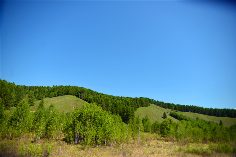 dsc_3413.jpg