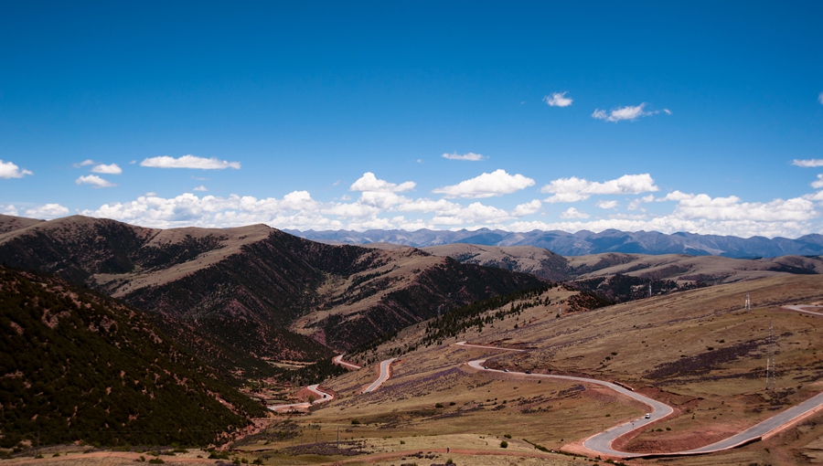 _dsc3374.jpg