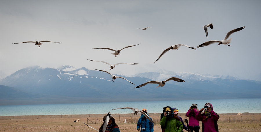 _dsc4927 - .jpg