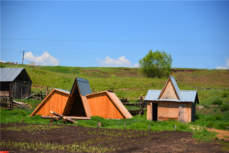 dsc_3452.jpg
