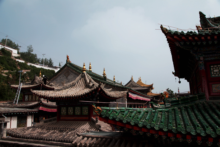 img_0669_副本.jpg