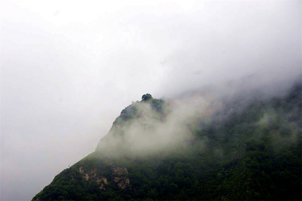 _igp0770.jpg
