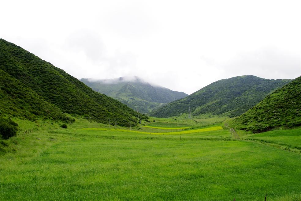 _igp0780.jpg