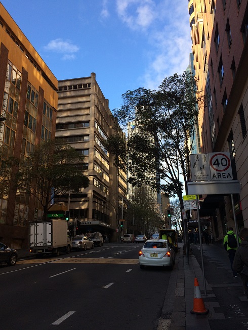 sydney  photo 2864.jpg