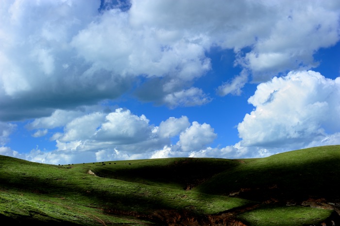 dsc_1949a.jpg